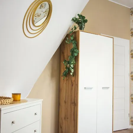 Dream Team Paderewskiego Bydgoszcz