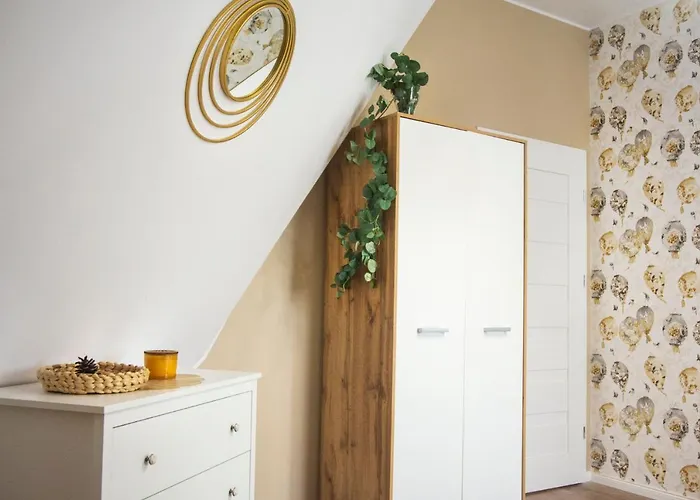 Dream Team Paderewskiego 비드고슈치